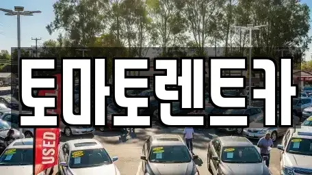 경기 동두천시 걸산동 렌트카 전문 토마토렌트카
