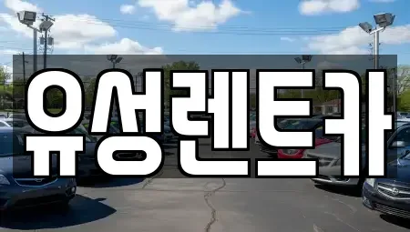 경기 수원시 팔달구 장안동 렌트카 전문 유성렌트카
