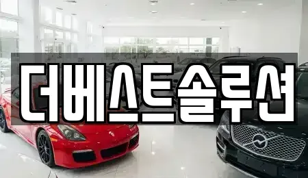 경기 수원시 팔달구 장안동 장기렌트카 전문 더베스트솔루션