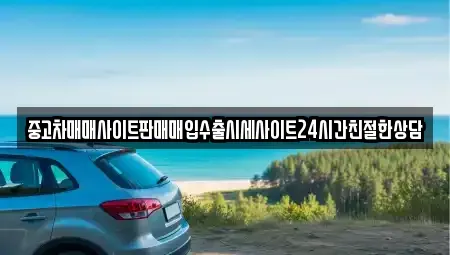 경기 수원시 팔달구 장안동 중고차 전문 중고차매매사이트판매매입수출시세사이트24시간친절한상담