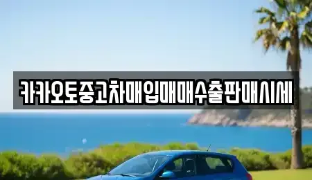 경기 수원시 팔달구 장안동 중고차 전문 카카오토중고차매입매매수출판매시세