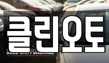 경기 수원시 팔달구 장안동 중고차 전문 클린오토