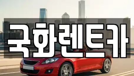 경기 양주시 옥정동 렌트카 전문 국화렌트카