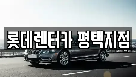경기 평택시 서정동 장기렌트카 전문 롯데렌터카 평택지점