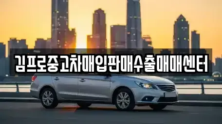 경기 평택시 서정동 중고차 전문 김프로중고차매입판매수출매매센터