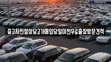 경기 평택시 서정동 중고차 전문 중고차친절상담고가매입당일이전무료출장방문견적