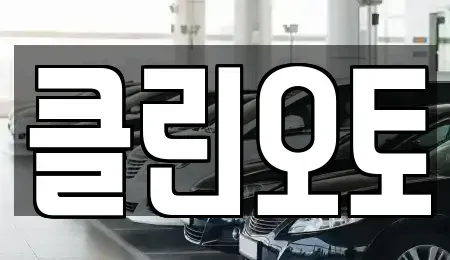 경기 평택시 서정동 중고차 전문 클린오토