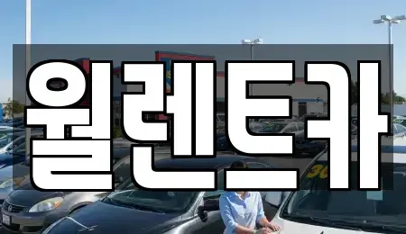 경기 평택시 평택동 렌트카 전문 월렌트카