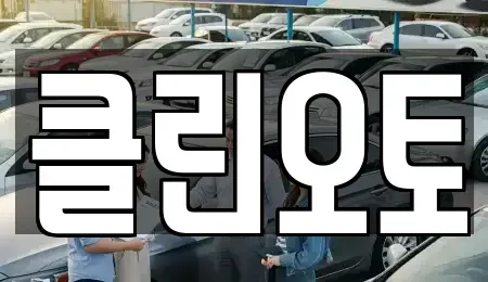 경기 평택시 평택동 중고차 전문 클린오토