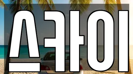 경기 평택시 현덕면 렌트카 전문 스카이