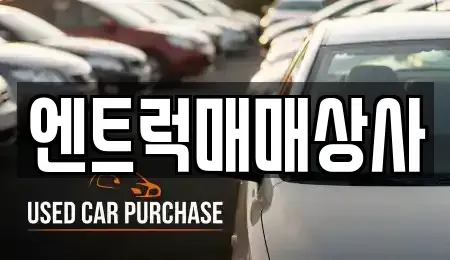 경기 평택시 현덕면 중고차매매 전문 엔트럭매매상사