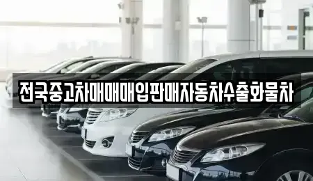경기 평택시 현덕면 중고차매입 전문 전국중고차매매매입판매자동차수출화물차