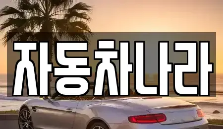 경기 화성시 안녕동 중고차 전문 자동차나라