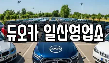 경기도 고양시 덕양구 성사동 단기렌트카 전문 듀오카 일산영업소