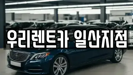 경기도 고양시 덕양구 성사동 렌트카 전문 우리렌트카 일산지점