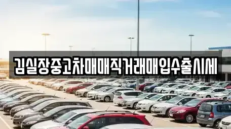 경기도 고양시 덕양구 성사동 중고차 전문 김실장중고차매매직거래매입수출시세