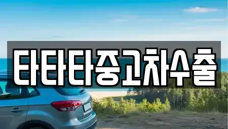 경기도 고양시 덕양구 성사동 중고차 전문 타타타중고차수출