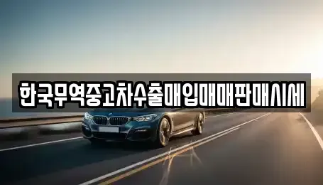 경기도 고양시 덕양구 성사동 중고차 전문 한국무역중고차수출매입매매판매시세