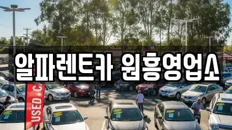 경기도 고양시 덕양구 용두동 렌트카 전문 알파렌트카 원흥영업소