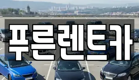 경기도 고양시 덕양구 용두동 렌트카 전문 푸른렌트카
