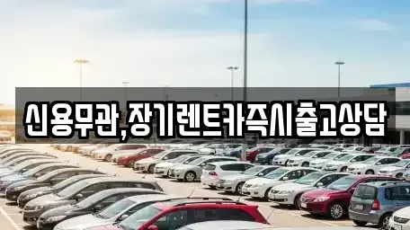 경기도 고양시 덕양구 용두동 장기렌트카 전문 신용무관,장기렌트카즉시출고상담