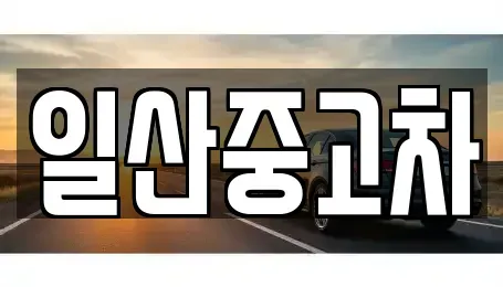 경기도 고양시 덕양구 용두동 중고차매매 전문 일산중고차