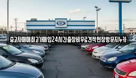경기도 고양시 덕양구 용두동 중고차매입 전문 중고차매매최고가매입24시간출장비무료견적현장방문지누카