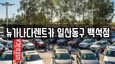 경기도 고양시 일산동구 장항동 단기렌트카 전문 뉴가나다렌트카 일산동구 백석점