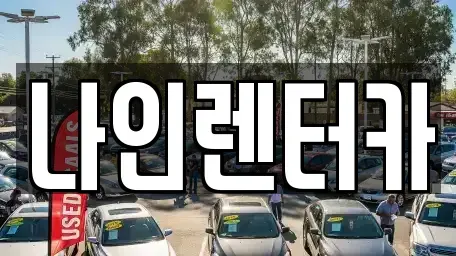 경기도 고양시 일산동구 장항동 렌트카 전문 나인렌터카