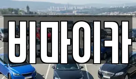 경기도 고양시 일산동구 장항동 렌트카 전문 비마이카