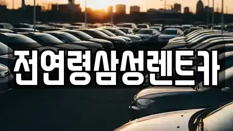 경기도 고양시 일산동구 장항동 렌트카 전문 전연령삼성렌트카