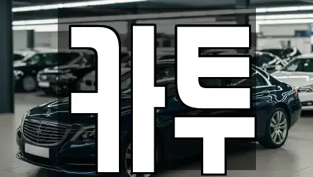 경기도 고양시 일산동구 장항동 장기렌트카 전문 카투