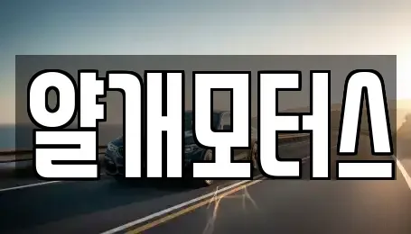 경기도 고양시 일산동구 장항동 중고차매매 전문 얄개모터스