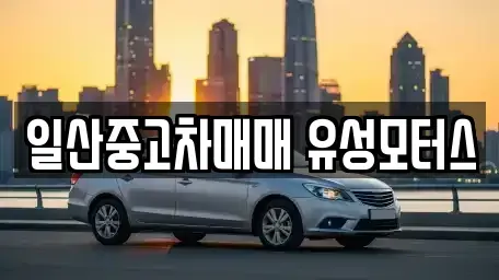 경기도 고양시 일산동구 장항동 중고차매매 전문 일산중고차매매 유성모터스