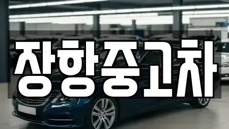 경기도 고양시 일산동구 장항동 중고차매매 전문 장항중고차
