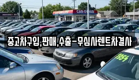 경기도 고양시 일산동구 장항동 중고차매매 전문 중고차구입,판매,수출-무심사렌트차결사