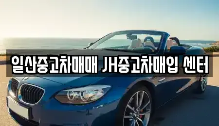 경기도 고양시 일산동구 장항동 중고차매입 전문 일산중고차매매 JH중고차매입 센터