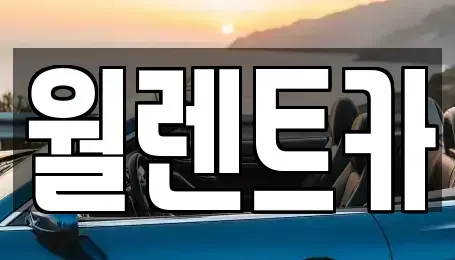 경기도 구리시 토평동 렌트카 전문 월렌트카