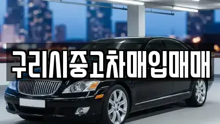 경기도 구리시 토평동 중고차,렌트카,중고차매입,중고차매매,장기렌트카,단기렌트카