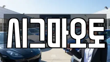 경기도 부천시 원미구 중동 단기렌트카 전문 시그마오토