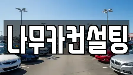 경기도 부천시 원미구 중동 장기렌트카 전문 나무카컨설팅