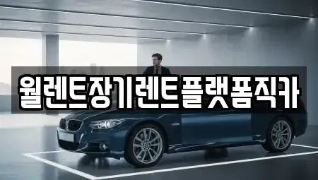 경기도 양주시 율정동 렌트카 전문 월렌트장기렌트플랫폼직카