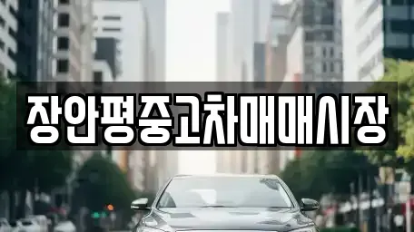 경기도 양평군 강상면 중고차매매 전문 장안평중고차매매시장