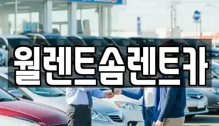 경기도 오산시 금암동 렌트카 전문 월렌트솜렌트카