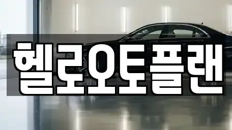 경기도 오산시 금암동 장기렌트카 전문 헬로오토플랜
