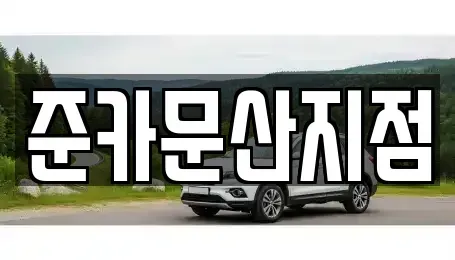 경기도 파주시 문산읍 렌트카 전문 준카문산지점