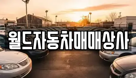 경기도 파주시 문산읍 중고차매매 전문 월드자동차매매상사
