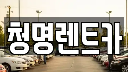 경기도 화성시 단기렌트카 전문 청명렌트카