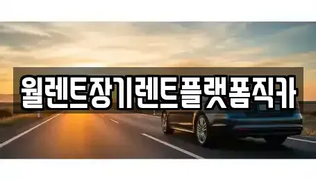 경기도 화성시 장기렌트카 전문 월렌트장기렌트플랫폼직카
