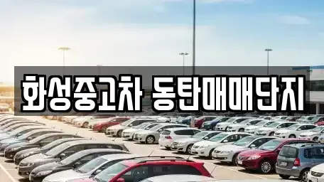 경기도 화성시 중고차 전문 화성중고차 동탄매매단지